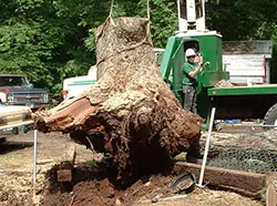 pctsi-payne-county-tree-service-stillwater-oklahoma-ok-tree-trimming-firewood-wood-chips-recycling